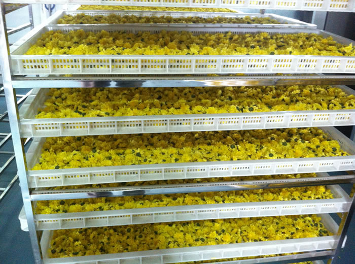 廣元金銀花、菊花烘干房