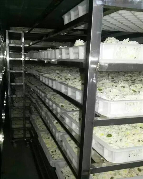 廣元金銀花、菊花烘干房